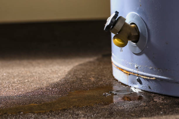 Best 24/7 water damage repair  in Novi, MI