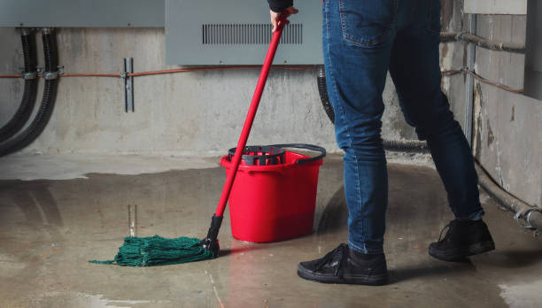Best Water damage cleanup near me  in Novi, MI