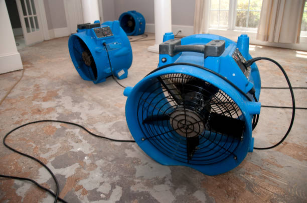 Best Emergency water extraction  in Novi, MI